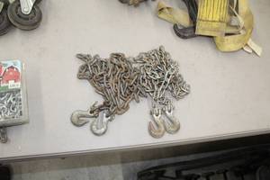 lot 456 image: Lot of (2) Chains with Hook Ends