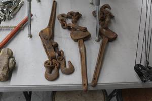 lot 460 image: Lot of (3) Chain Pullers