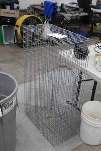 lot 478 image: Metal Animal Trap