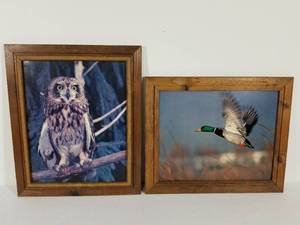 Framed Bird Prints