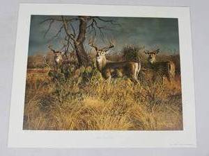 Vintage Print