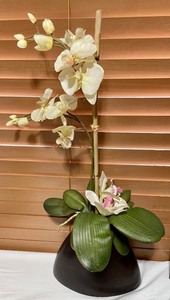 lot 84 image: Home Decor Grouping