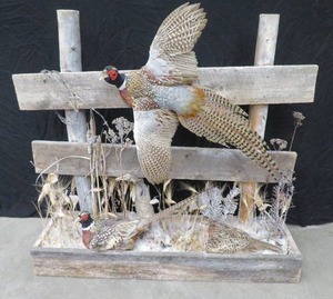 lot 2 image: UNIQUE PHEASENT MOUNT