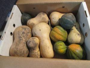 lot 126 image: Box of Assorted Winter Squash...