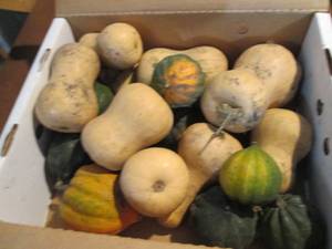 lot 127 image: Box of Assorted Winter Squash...