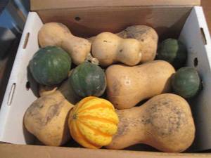 lot 128 image: Box of Assorted Winter Squash...