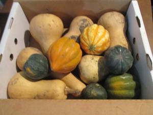 lot 130 image: Box of Assorted Winter Squash...