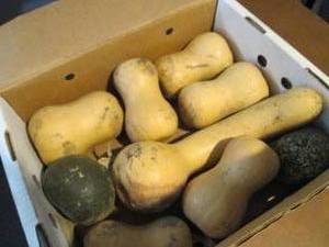 lot 131 image: Box of Assorted Winter Squash...