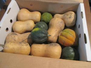 lot 132 image: Box of Assorted Winter Squash...