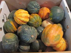 lot 133 image: Box of Assorted Winter Squash...