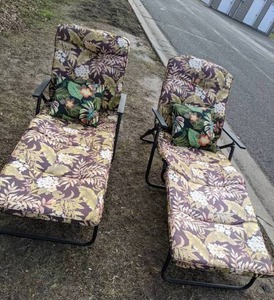 lot 573 image: Set of (2) Patio Lounge Chairs with Cushions
