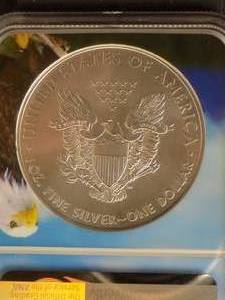 2017 Silver Eagle Dollar