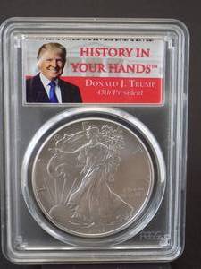 2017 Silver Eagle Dollar