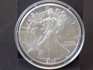 2003 Silver Eagle