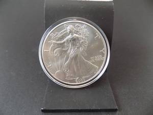 2001 Silver Eagle