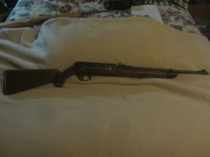 Crosman BB Gun