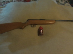 Crosman BB Gun