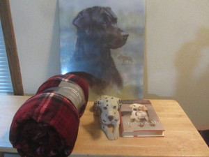 Dog Blanket & More