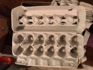 Cardboard Egg Cartons