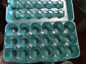 Styro Egg Cartons