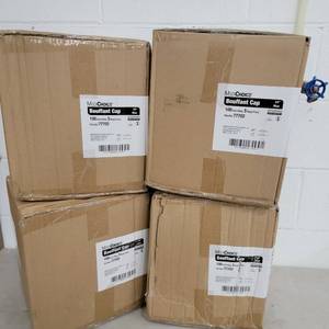 4 case Bouffant Caps 500 per box total of 2,000 (Valued  $160)