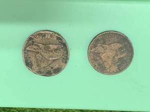 Lot of Two Flying Eagle Cents