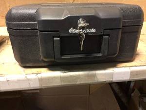 SentrySafe 0.18 cu. ft. Fireproof Safe Box��Customer Returns See Pictures
