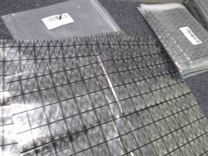 lot 381 image: 8 GLOTRENDS 5 Packs 12x16 inch Moth...