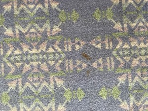 lot 29 image: Vintage Wool Blanket L.L.Bean
