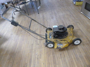 Coast-to-Coast Push Mower