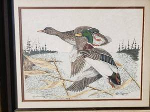 Gene Murrey Drake & Hen Illustration