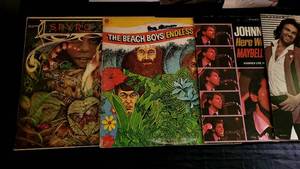 Vintage Vinyl LP Record Collection- Classic American Voices