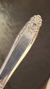 Sterling Silver Prelude Steak Knife Set with Case