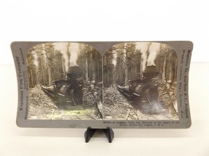 lot 7 image: Antique 1916 Keystone Logging Train Stereo View Card
