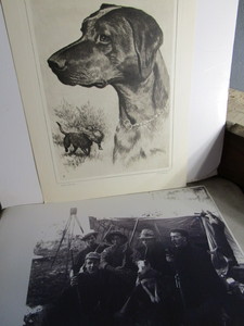 Lab print & hunting party camp phot...