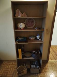 Bookshelf with Contents