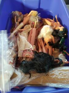 Collection of Barbies & Other Dolls