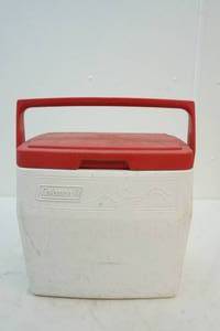 lot 31 image: cooler