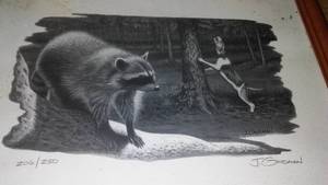 lot 231 image: Numbered Black and White 206250 Raccoon and Hound