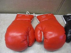 2 Pair of Boxing Gloves