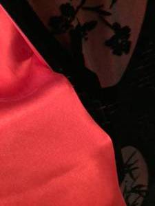lot 365 image: Red & Black Velvet Burnout ScarfShawl
