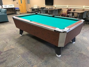 Valley Panther Pool Table