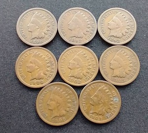 8 Indian Head Pennies - All Different Years