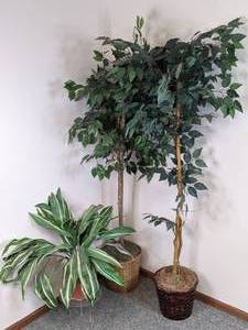 lot 310 image: Beautiful Artificial Plant & (2) Artificial Trees