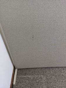 lot 2741 image: Portable Partition Wall