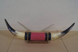 Decorative Bull Horns