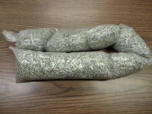 Shredded U.S. Currency...