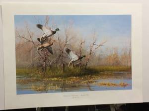 Backwater Hideaway - Mallard Trio by Gary Moss Signed &amp Numbered Print Size With Border 25.5x18.5