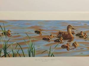 First Time Out - Minnesota Mallards by Darrell Bush, Numbered Print Size With Border 27.5x13