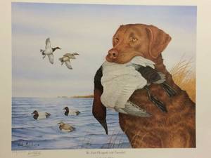 The Limit Chesapeake With Canvasback by Carl J. Melichar Signed &amp Numbered Print Size With Border 19.5x23
